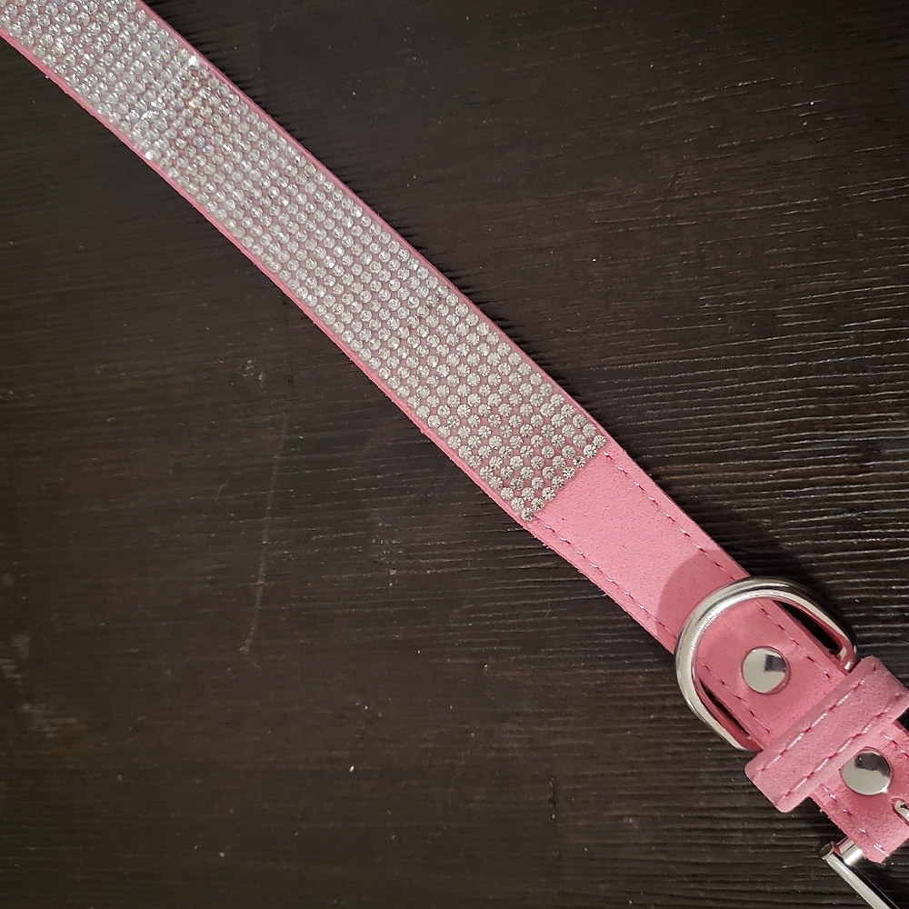 Bling Dog Collar Btand New 17 Inches